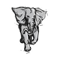 elefant framfart isolerat teckning vektor