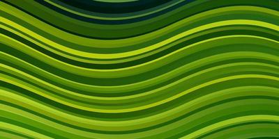 ljusgrönt, gult vektormönster med linjer. vektor
