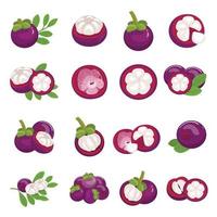 mangostan ikoner uppsättning tecknad serie vektor. lila frukt vektor