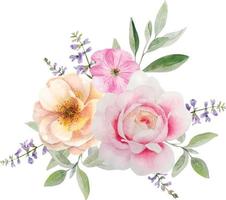 aquarell zarte komposition mit wilden rosa rosen und kräutern vektor