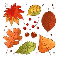 herbstgemüsekomposition mit kürbis, pilzen, blättern, beeren, kastanien. Herbststilleben mit der Herbsterntezeit. flache Vektorillustration der Farbe lokalisiert auf einem weißen Hintergrund vektor