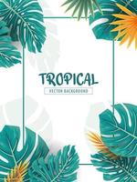 Designvorlage für tropische Vibes für Poster, Bannerhintergrund vektor