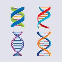 fyra DNA-molekyler vektor