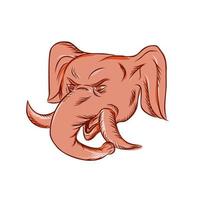 republikanischer Elefant Maskottchen Kopfätzung vektor
