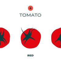 Tomaten. flache vektorillustration. Preisschild, Etikett, Verpackung und Werbeplakat des Produkts. minimalistisches, modernes Label. vektor