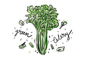 Free Celery Aquarell Vektor
