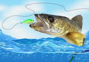 Walleye Fische nehmen den Köder vektor