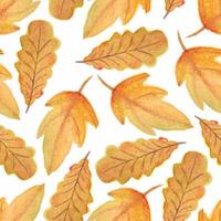 akvarell höst höst löv sömlösa mönster vektor