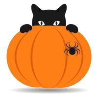 Halloween-Illustration mit schwarzer Katze und Kürbis vektor