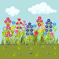 Blumenfeld mit bunter Blüte. grüne Grasgrenze. Frühlingsszene vektor