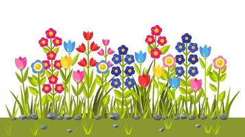 Blumenfeld mit bunter Blüte. grüne Grasgrenze. Frühlingsszene vektor