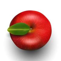 vektor illustration av röd äpple topp se