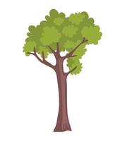 trädskogsväxt vektor