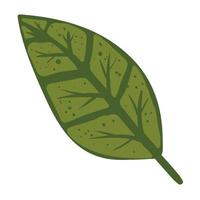 Blattpflanze Laub vektor