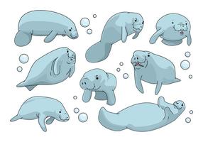 Gratis Manatee Vector