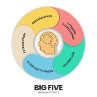 Big Five Persönlichkeitsmerkmale Infografik hat 4 Persönlichkeitstypen wie Verträglichkeit, Offenheit für Erfahrungen, Neurotizismus, Gewissenhaftigkeit und Extraversion. visueller Folienpräsentationsvektor. vektor