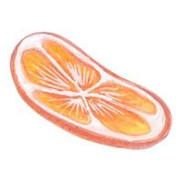 ein Stück Orange, eine von Hand gezeichnete Scheibe, Vektor