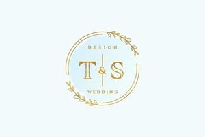 första ts skönhet monogram och elegant logotyp design handstil logotyp av första signatur, bröllop, mode, blommig och botanisk med kreativ mall. vektor