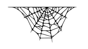 Spindel webb isolerat på vit bakgrund. läskigt halloween spindelnät. vektor illustration