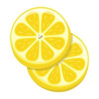 modern platt illustration av citron- vektor