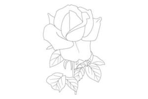 Rosenblumen zeichnen mit Strichzeichnungen auf weißem Hintergrund. Vektorumriss Blumen. Strichzeichnungen Malvorlagen mit Rosen und Blättern vektor