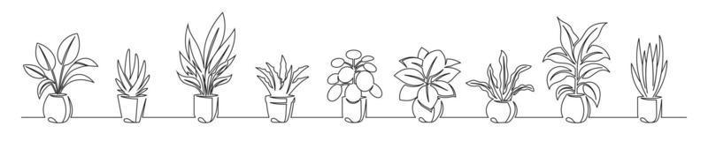 uppsättning av kontinuerlig linje teckning av en blommor i en kastruller vektor