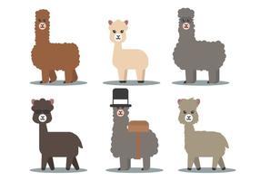 Alpaca Vector