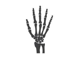 Handknochen Schwarz-Weiß-menschliches Skelett Knochenhände vektor