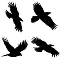uppsättning av realistisk vektor silhuetter av kråkor. isolerat på en vit bakgrund. bra för Skräck affischer.