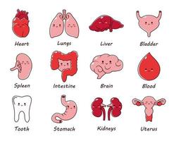 söt söt friska mänsklig organ karaktär. vektor linje tecknad serie söt karaktär illustration ikon
