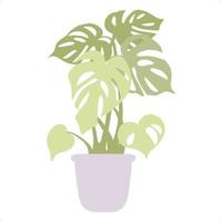 monstera pflanze flache kunst vektor