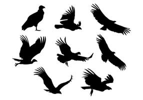 Silhuett vektor av condor fågel