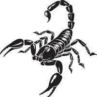 Skorpion-Tier-Schwarz-Weiß-Vektor-Illustration vektor