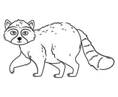 süßer Waschbär. nordamerikanischer Waschbär, einheimisches Säugetier. Cartoon-Tier-Design. flache vektorillustration lokalisiert auf weißem hintergrund. Waldbewohner. wildes Tier mit grauem Fell. Konturbild vektor