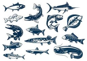 Fische Arten Vektor isolierte Symbole