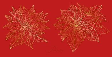 roter Weihnachtsstern Blütenstand in einer eleganten goldenen Linie vektor