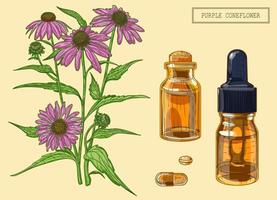 Echinacea-Pflanze und zwei Fläschchen vektor