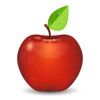 färskt läckra äpple isolerad på vit bakgrund vektor