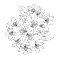 Lily Flower Coloring Page Buchillustration mit dekorativem Strichzeichnungsvektor und Lilium-Zeichnungsblume vektor