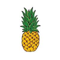 färsk ananas vektor design illustration