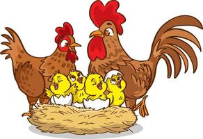 isolerat kyckling familj på vit bakgrund vektor