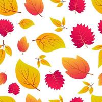 Herbst nahtloser Hintergrund mit bunten Ahornblättern. design für herbstplakate, geschenkpapiere und feiertagsdekorationen. Vektor-Illustration vektor