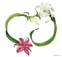 tropisk hjärtkrans med orientaliska liljor vektor