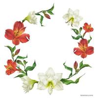 blomkrans med röda och vita liljablommor vektor