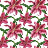 stargazer lily akvarell seamless mönster vektor