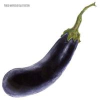 dunkelblaue Aubergine, Aquarell vektor