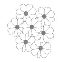 Kosmos-Blume Malseite der Kontur blühenden Kosmos-Pflanze für Sommer-Design-Design vektor
