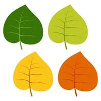 uppsättning av grön, gul och röd löv isolerat på vit bakgrund. vektor illustration av höst löv.