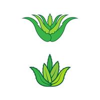 aloe vera vektor ikon design illustration