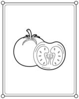 Tomate geeignet für Malvorlagen für Kinder, Vektorgrafik vektor